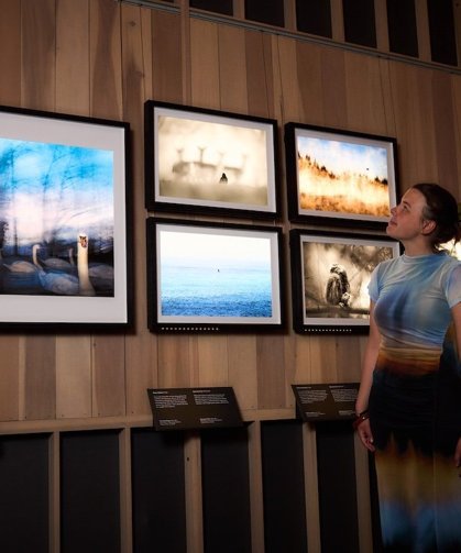 London wildlife photo challenge hits the streets