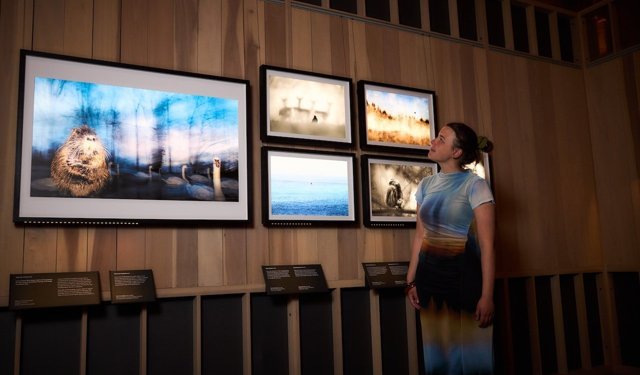 London wildlife photo challenge hits the streets