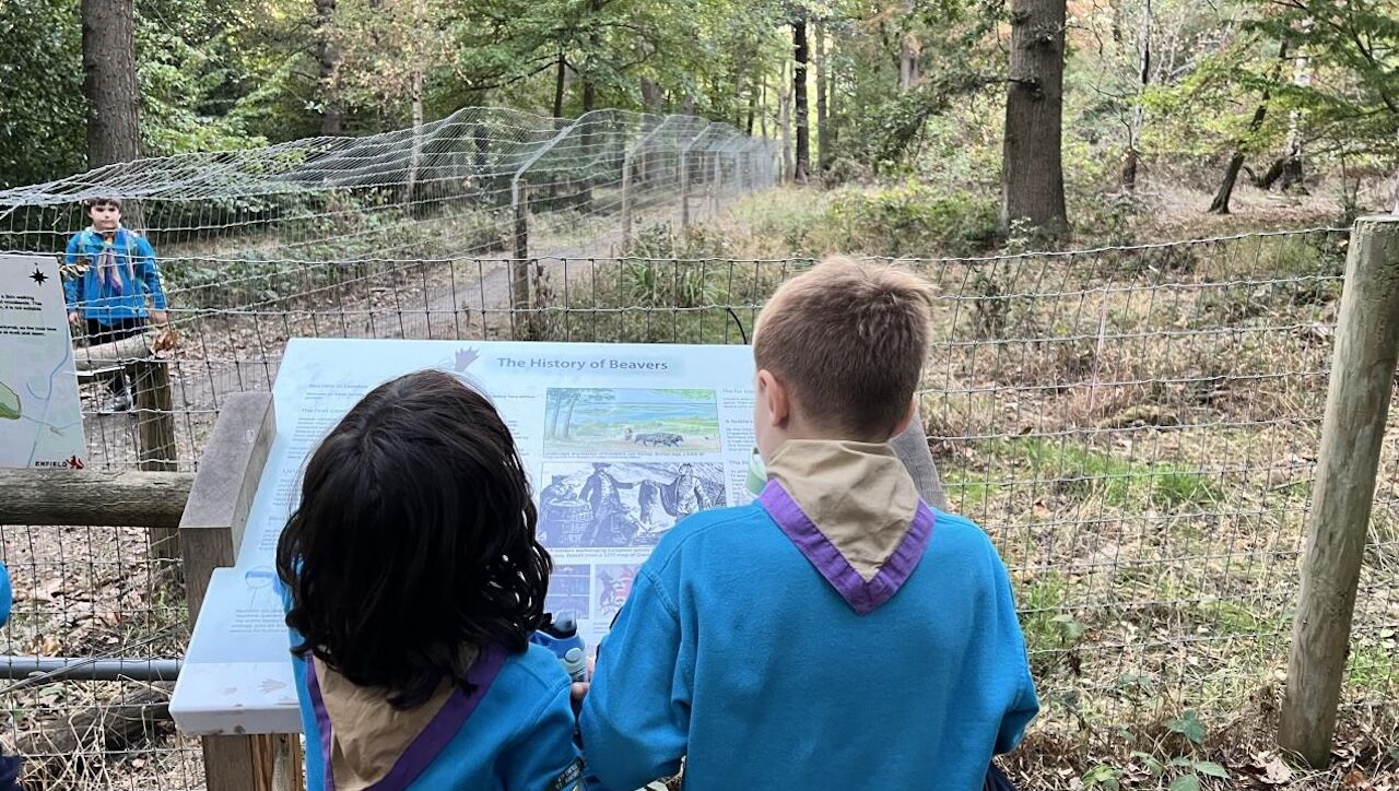 Beaver Scouts Meet Namesakes At Enfield Rewilding Site 1
